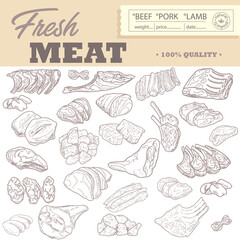 A set of raw meat. Beef, pork, lamb. Vector illustration in the style of a sketch. A booklet, banner, or flyer of a butcher shop or store.