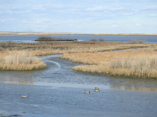 The beautiful wetland scenery of the Edwin B Forsythe National Wildlife Refuge, Galloway, New Jersey