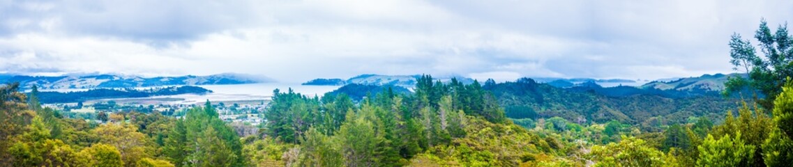 Fototapeta na wymiar New Zealand jungle panorama hills and bay On the horizon