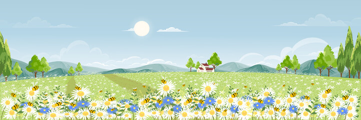 Champ de printemps avec nuage moelleux sur ciel bleu, Joli panorama de dessin animé paysage rural herbe verte avec abeille collectant du pollen sur des fleurs en été ensoleillé, Bannière de fond de vecteur pour le printemps