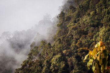 Fototapeta premium fog in the mountains