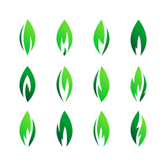 Green leaves set icons, various vector shapes of leaf of trees and plants, elements for eco and bio logos