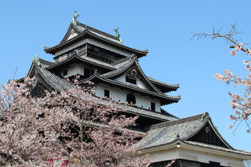 castle in matsue (japan)