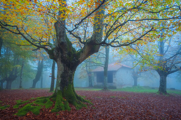 Escena de la hermita de Santo Cristo de Urkiola entre la niebla y el color otoñal