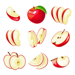 Vector set of red apples. Whole apple, half, quarter apple, and sliced ​​slices. Set of slices of red apple on a white background.
