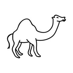 Single hand drawn camel. Vector illustration in doodle style.