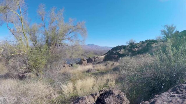 Saguaro Lake with Subtle Water Movement