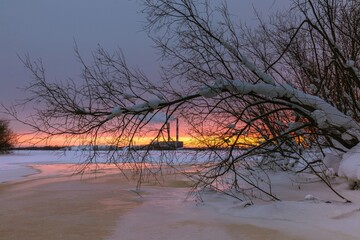 Winter view of the pink morning sky through the branches of a tree from the ice of the river. Travel concept