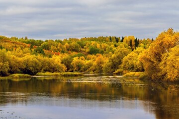 Bright autumn trees on the river bank. Autumn landscape