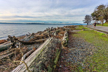 Ocean And Mountains 5