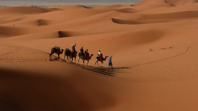 Group of friends on a camels caravan in the desert in Morocco.