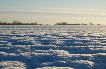 Snowy winter rural landscape.