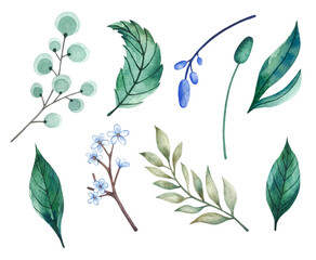 Branches and leaves set