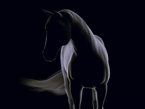 A silhouette of a standing horse from front. 3D illustration.