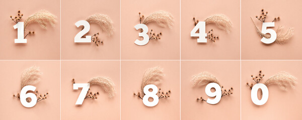 Numbers with dry pampas grass, flowers. Numbers one to ten with floral decorations on beige natural...