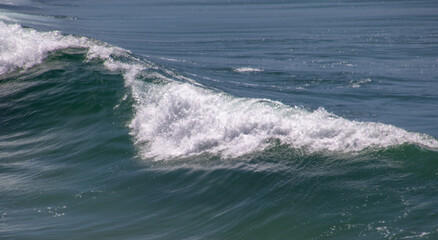 Seascape with a wave rolling towards the beach