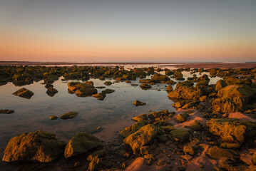 Landscape with rocks and stones on the Barbate beach next to the mouth of the Barbate river at sunrise, Cadiz, Andalusia, Spain