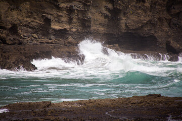 Bethells Beach