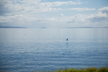 Obraz premium Coromandel - Cathedral Cove & Hot water beach
