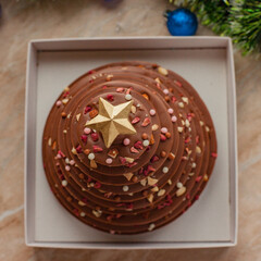 Edible chocolate Christmas tree with small color candy on