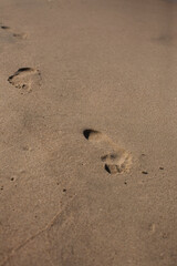 Fototapeta na wymiar stopa odcisk stopy na plaży piasek 