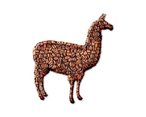 Llama alpaca Lama Coffee Beans Icon Logo Symbol illustration
