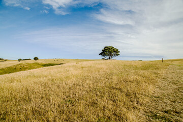 New Zealand - Shakespear Regional Park