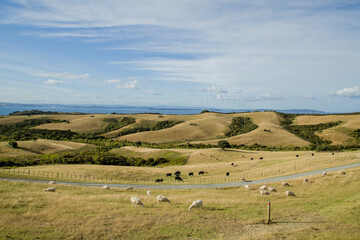 New Zealand - Shakespear Regional Park