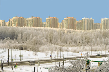 Winter view of the South Seaside Park in the Krasnoselsky district of the city of St. Petersburg