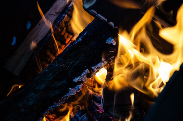 Close up burning logs in fire. Macro shooting of flames. Selective focus tongues of flame. Logs burn in the campfire.