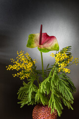 Nature morte avec du mimosa et un anthurium dans un vase sur fond noir