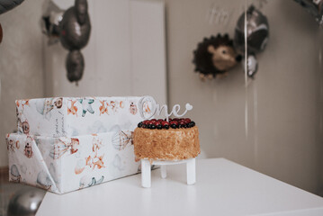 one year old child. Birthday