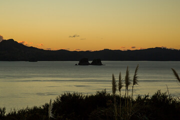 New Zealand - Whitianga - Coromandel
