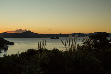 New Zealand - Whitianga - Coromandel