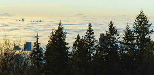 High-rise towers in Fraser Valley, BC, partially covered by dense cloud inversion.