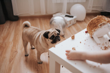 one year old child. Birthday