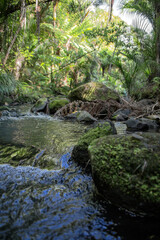 New Zealand- Pihi Waterfall