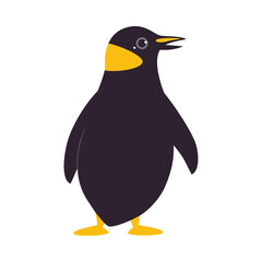 Funny Emperor Penguin as Aquatic Flightless Bird with Flippers Standing Vector Illustration