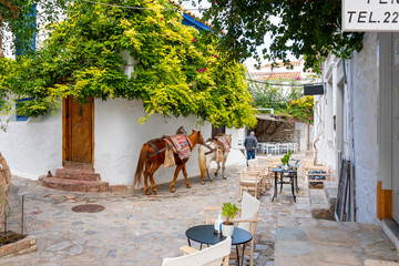 A local Greek leads his two horses in a small, picturesque alley alongside a sidewalk cafe on the...