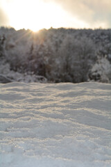Obraz na płótnie Canvas Deep snow with sunrise behind the blurred trees