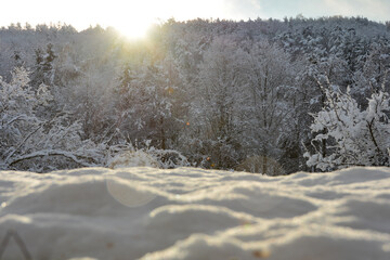 Sunrise over  forest with a lot of  snow  in the foreground