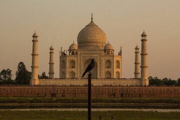 Taj Mahal al atardecer
