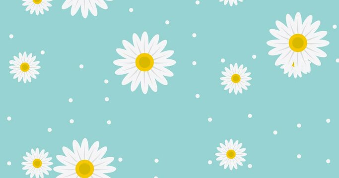 beautiful animation of falling flowers with white powder behind