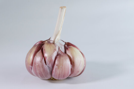 A head of garlic (Allium sativum) lightly peeled and each clove can be seen in pinkish tones on the edges and on a neutral background
