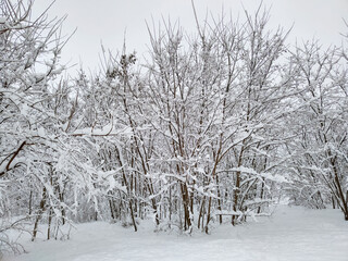 Winter. A lot of snow.