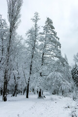 Winter view of South Park in city of Sofia, Bulgaria