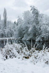 Winter view of South Park in city of Sofia, Bulgaria