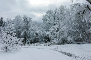 Winter view of South Park in city of Sofia, Bulgaria
