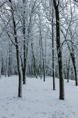 Winter view of South Park in city of Sofia, Bulgaria
