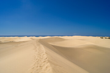 Fototapeta na wymiar Blue sky day at the dunes